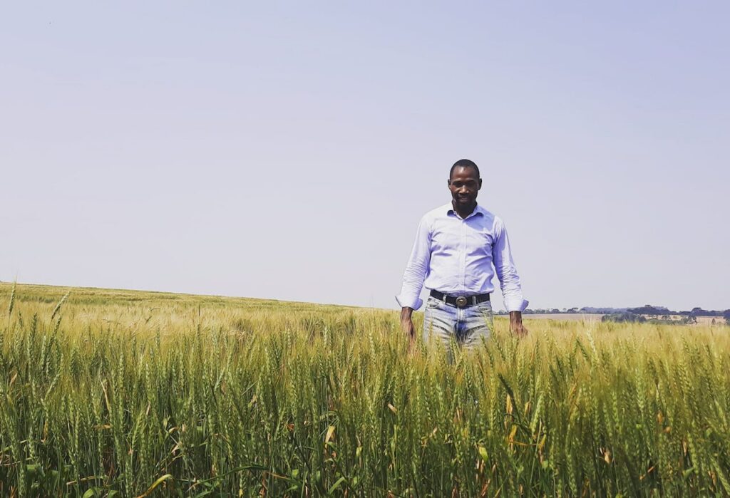 A man in a button-up shirt stands in a scenic wheat field under a clear sky.